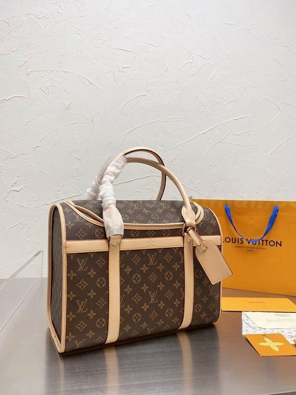 LV Handbags 107